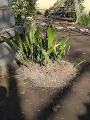 常徳院(東京都)