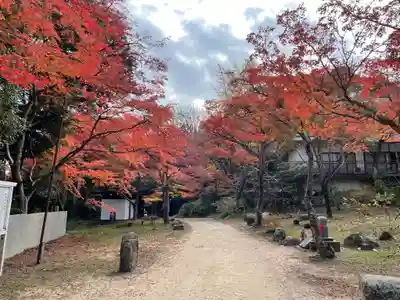 鷲林寺の自然
