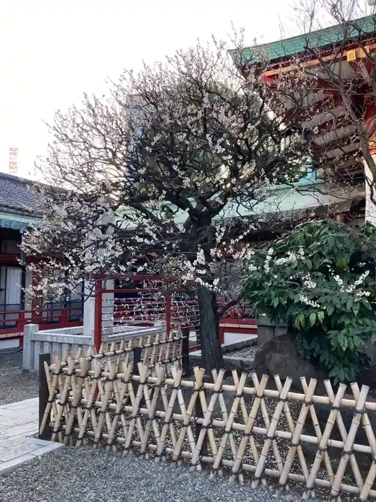 日枝神社の本殿・本堂