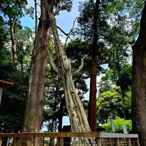渭伊神社(静岡県)