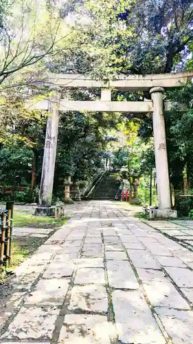 赤坂氷川神社の鳥居