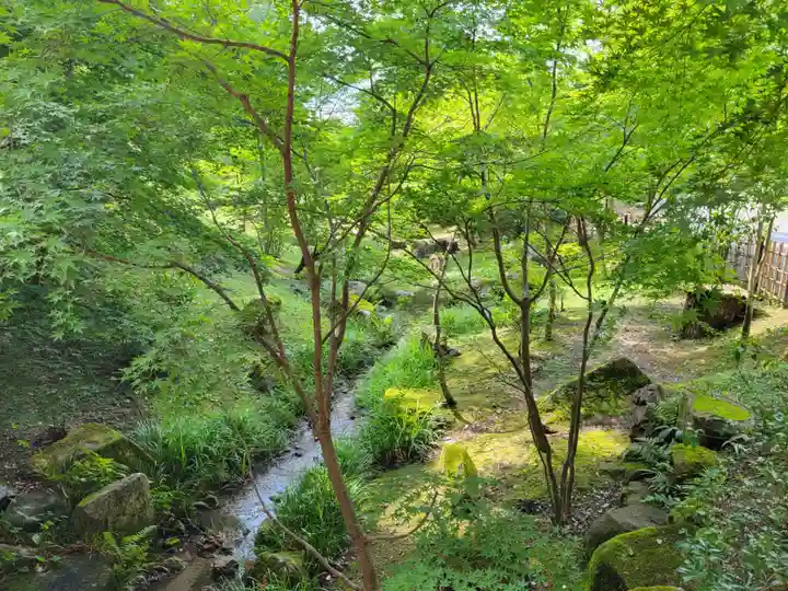 伏見稲荷大社の自然