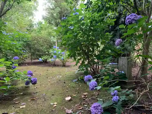 海寳寺(千葉県)