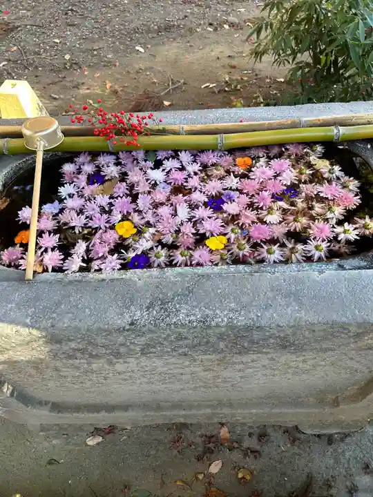 千代ケ岡八幡宮の手水舎
