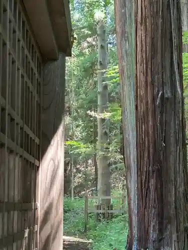 諏訪大社下社春宮(長野県)