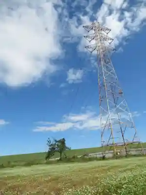 子の権現神社(埼玉県)