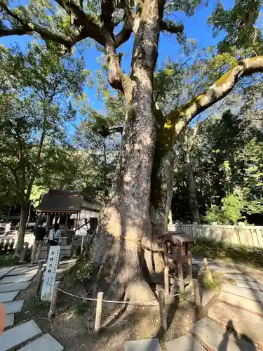 伊弉諾神宮(兵庫県)