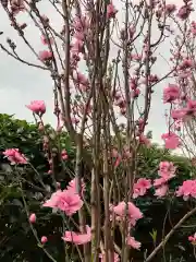 彌都加伎神社の自然