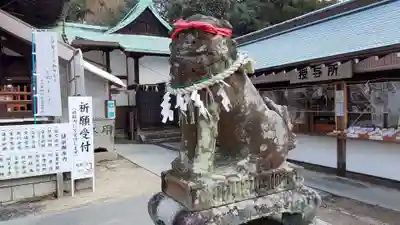 椎尾八幡宮の狛犬
