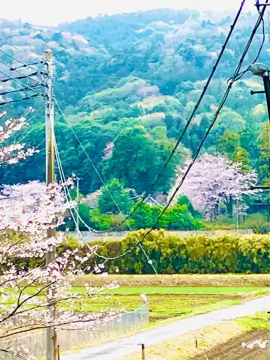 伊保田神社(茨城県)