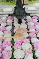 柳谷観音 楊谷寺の手水舎