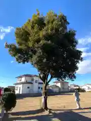 女体神社の自然