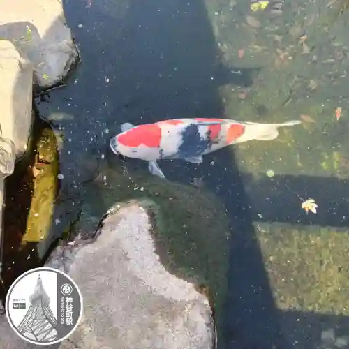 愛宕神社(東京都)