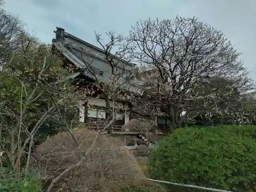 高円寺(東京都)