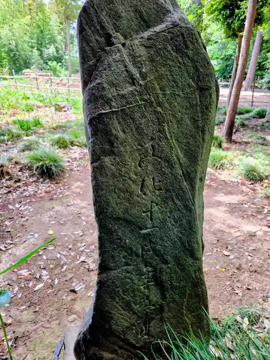 野宮神社(埼玉県)