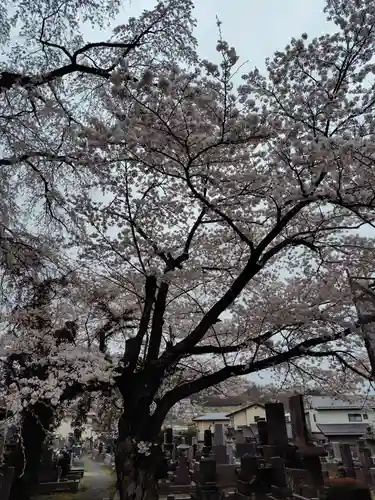 妙徳寺(福島県)
