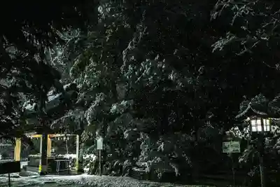 白山比咩神社のその他建物