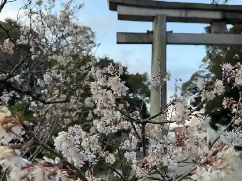 石清水八幡宮の{uncategorized: "未分類", other: "その他", undefined: "問題あり", building: "その他建物", grave: "お墓", sacred_gate: "鳥居", guardian: "狛犬", statue: "像", buddha: "仏像", history: "歴史", nature: "自然", garden: "庭園", animal: "動物", pagoda: "塔", temizu: "手水舎", mountain_gate: "山門・神門", sanctuary: "本殿・本堂", subordinate: "末社・摂社", art: "芸術", scenery: "景色", jizo: "地蔵", ema: "絵馬", goshuin: "御朱印", omikuji: "おみくじ", items: "授与品その他", amulet: "お守り", goshuincho: "御朱印帳", eats: "食事", festival: "お祭り", votive_dance: "神楽", shichigosan: "七五三参", wedding: "結婚式", experience: "体験その他", initially: "初詣", around: "周辺", anti_infection: "感染症対策"}