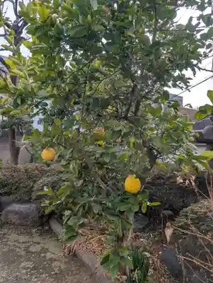 大正寺(東京都)