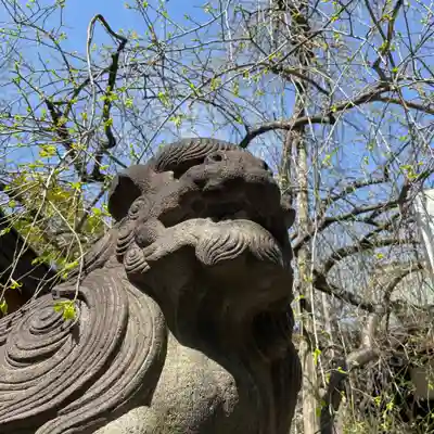 牛天神北野神社の狛犬