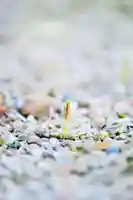 浄土寺(兵庫県)