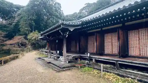 浄瑠璃寺(京都府)