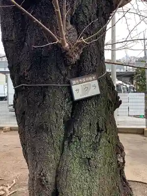 深大寺稲荷神社の自然