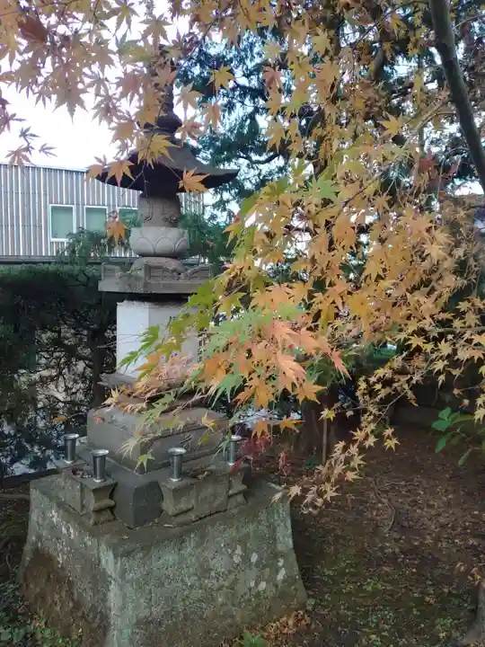 眞照寺(東京都)