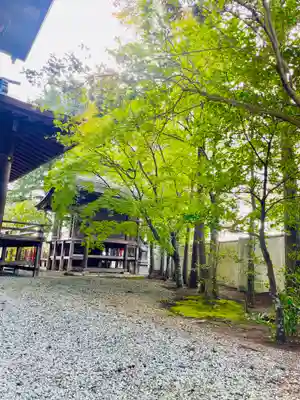 仙台八坂神社(宮城県)