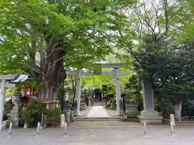 銚港神社の{uncategorized: "未分類", other: "その他", undefined: "問題あり", building: "その他建物", grave: "お墓", sacred_gate: "鳥居", guardian: "狛犬", statue: "像", buddha: "仏像", history: "歴史", nature: "自然", garden: "庭園", animal: "動物", pagoda: "塔", temizu: "手水舎", mountain_gate: "山門・神門", sanctuary: "本殿・本堂", subordinate: "末社・摂社", art: "芸術", scenery: "景色", jizo: "地蔵", ema: "絵馬", goshuin: "御朱印", omikuji: "おみくじ", items: "授与品その他", amulet: "お守り", goshuincho: "御朱印帳", eats: "食事", festival: "お祭り", votive_dance: "神楽", shichigosan: "七五三参", wedding: "結婚式", experience: "体験その他", initially: "初詣", around: "周辺", anti_infection: "感染症対策"}