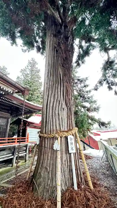 鼬幣稲荷神社(岩手県)