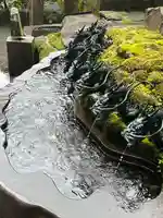 九頭龍神社新宮(神奈川県)