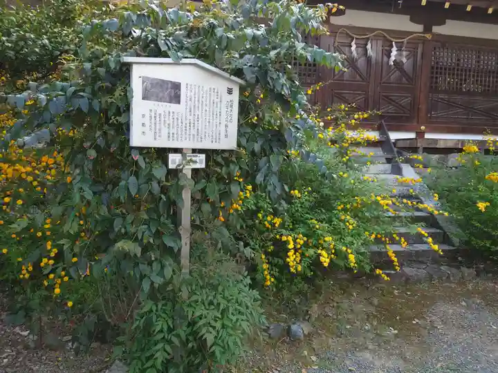 松尾大社の自然