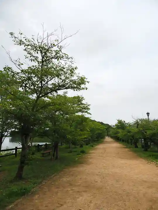 宇佐神社の周辺