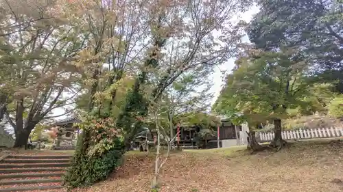 犬山寂光院の自然