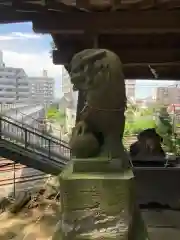 金山神社(千葉県)