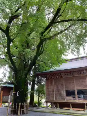 豊玉姫神社(鹿児島県)