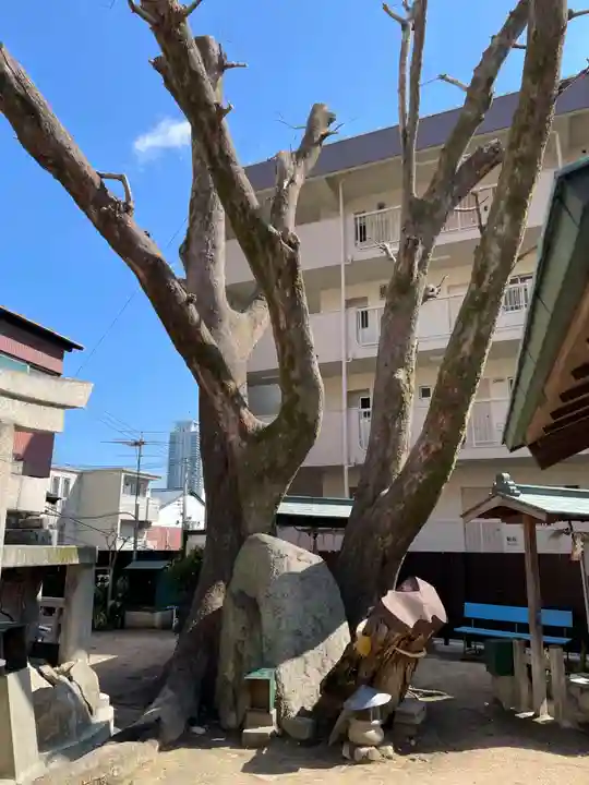 三本松不動院(兵庫県)