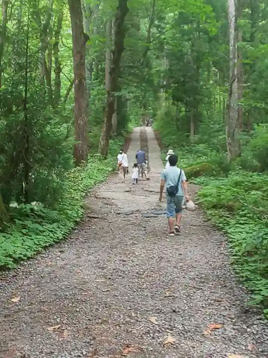 戸隠神社奥社の周辺