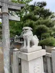 老松神社の狛犬