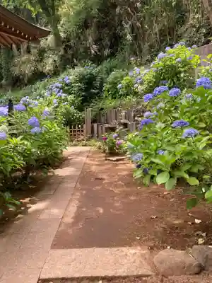 妙楽寺(神奈川県)