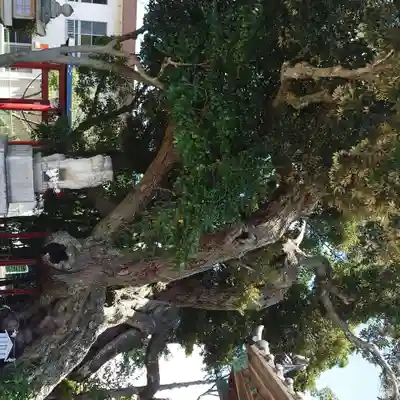 高塚熊野神社(静岡県)