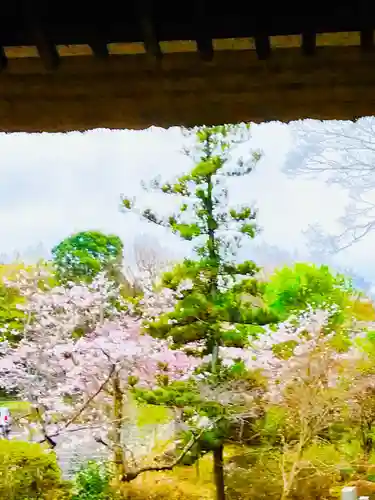 大聖寺（土浦大師不動尊）の庭園