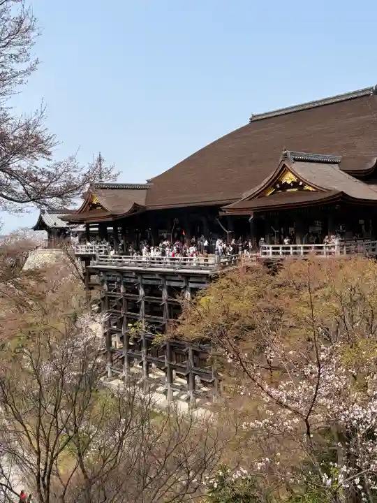 清水寺の{uncategorized: "未分類", other: "その他", undefined: "問題あり", building: "その他建物", grave: "お墓", sacred_gate: "鳥居", guardian: "狛犬", statue: "像", buddha: "仏像", history: "歴史", nature: "自然", garden: "庭園", animal: "動物", pagoda: "塔", temizu: "手水舎", mountain_gate: "山門・神門", sanctuary: "本殿・本堂", subordinate: "末社・摂社", art: "芸術", scenery: "景色", jizo: "地蔵", ema: "絵馬", goshuin: "御朱印", omikuji: "おみくじ", items: "授与品その他", amulet: "お守り", goshuincho: "御朱印帳", eats: "食事", festival: "お祭り", votive_dance: "神楽", shichigosan: "七五三参", wedding: "結婚式", experience: "体験その他", initially: "初詣", around: "周辺", anti_infection: "感染症対策"}