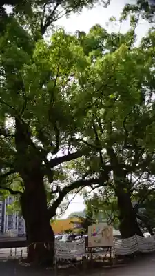 諫早神社（九州総守護  四面宮）(長崎県)