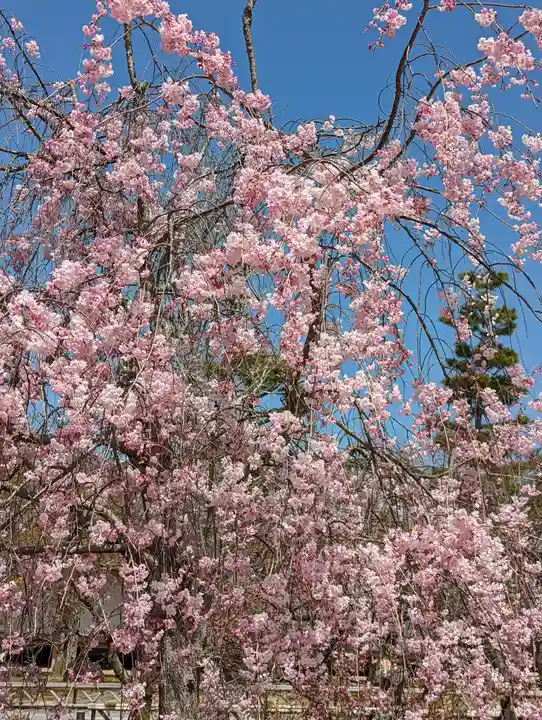 智積院(京都府)