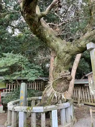 宗像大社の自然