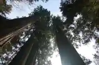 鹿島大神宮の自然