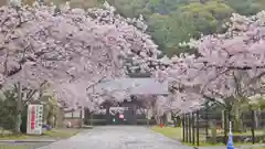 新日吉神宮の庭園