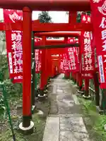 佐助稲荷神社の鳥居